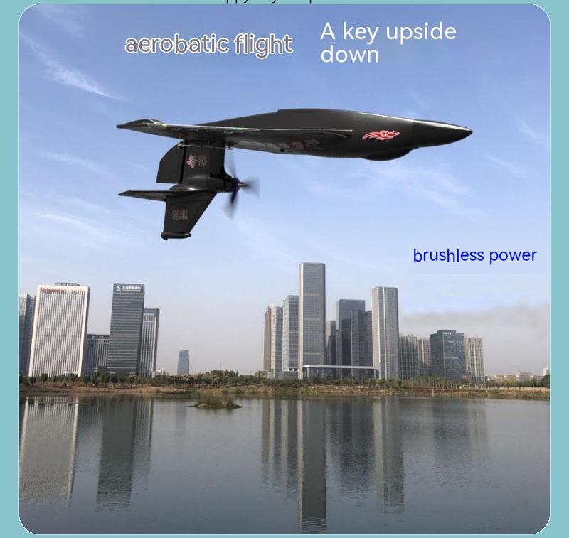 H650 Raptor 6CH Brushless RC A - Rc Wing Glider ulasan dan harga